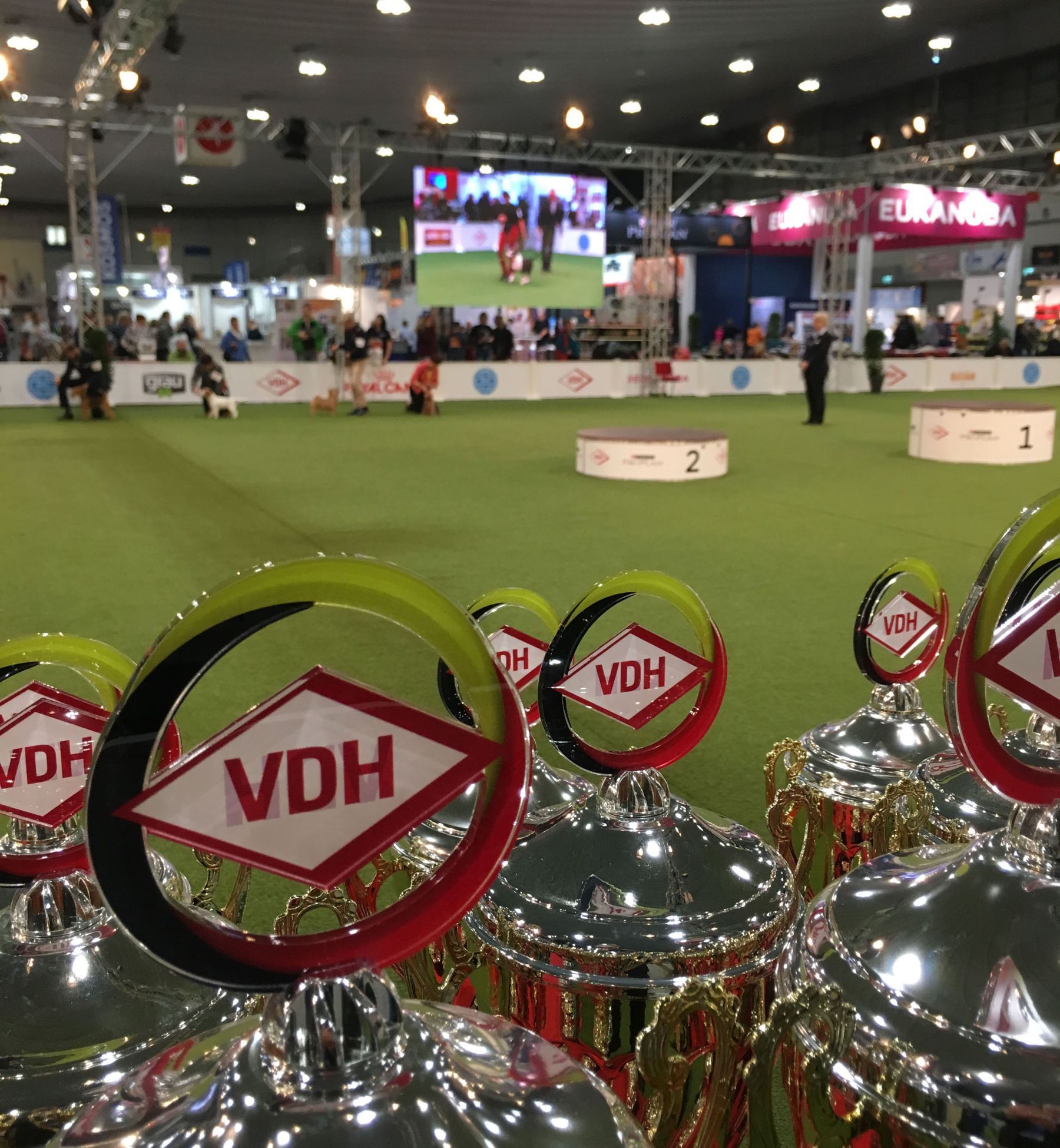 German Dog Shows in Chaos